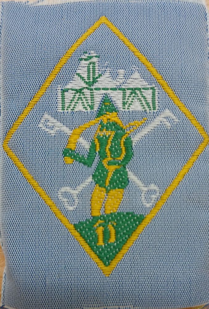 Vintage Girlguiding woven badges