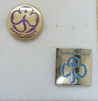 Ambassador metal badge