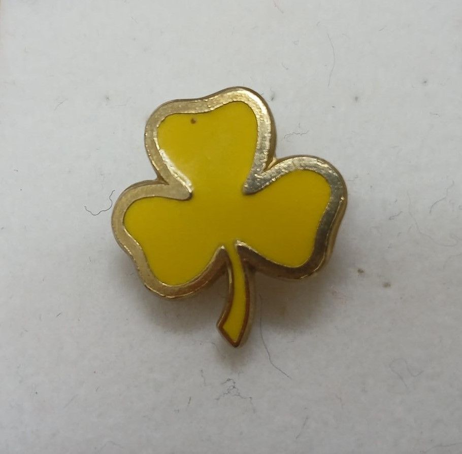 Guide metal anniversary badge - 1 year
