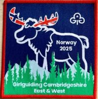 Norway Challenge Badge