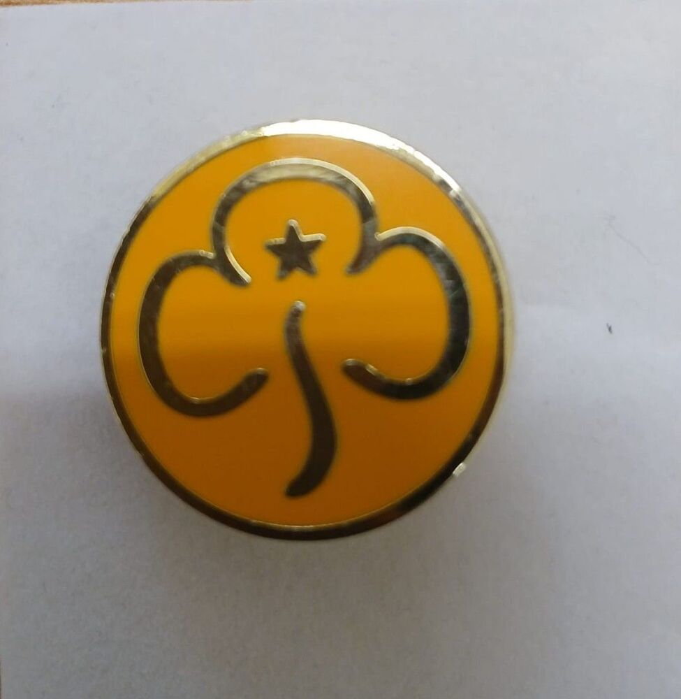 Brownie Promise Metal Badge