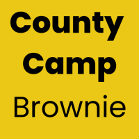 Brownie participant