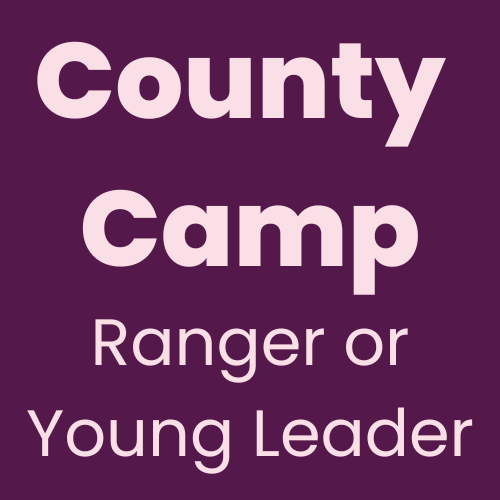 Ranger or Young Leader participant