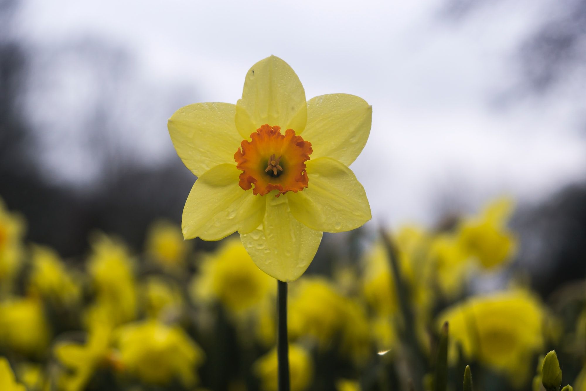 Hypnotherapy to help with Anxiety