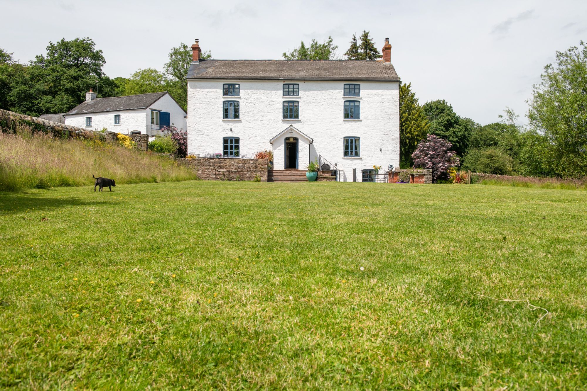 Farmhouse-Dog-Ruby-272