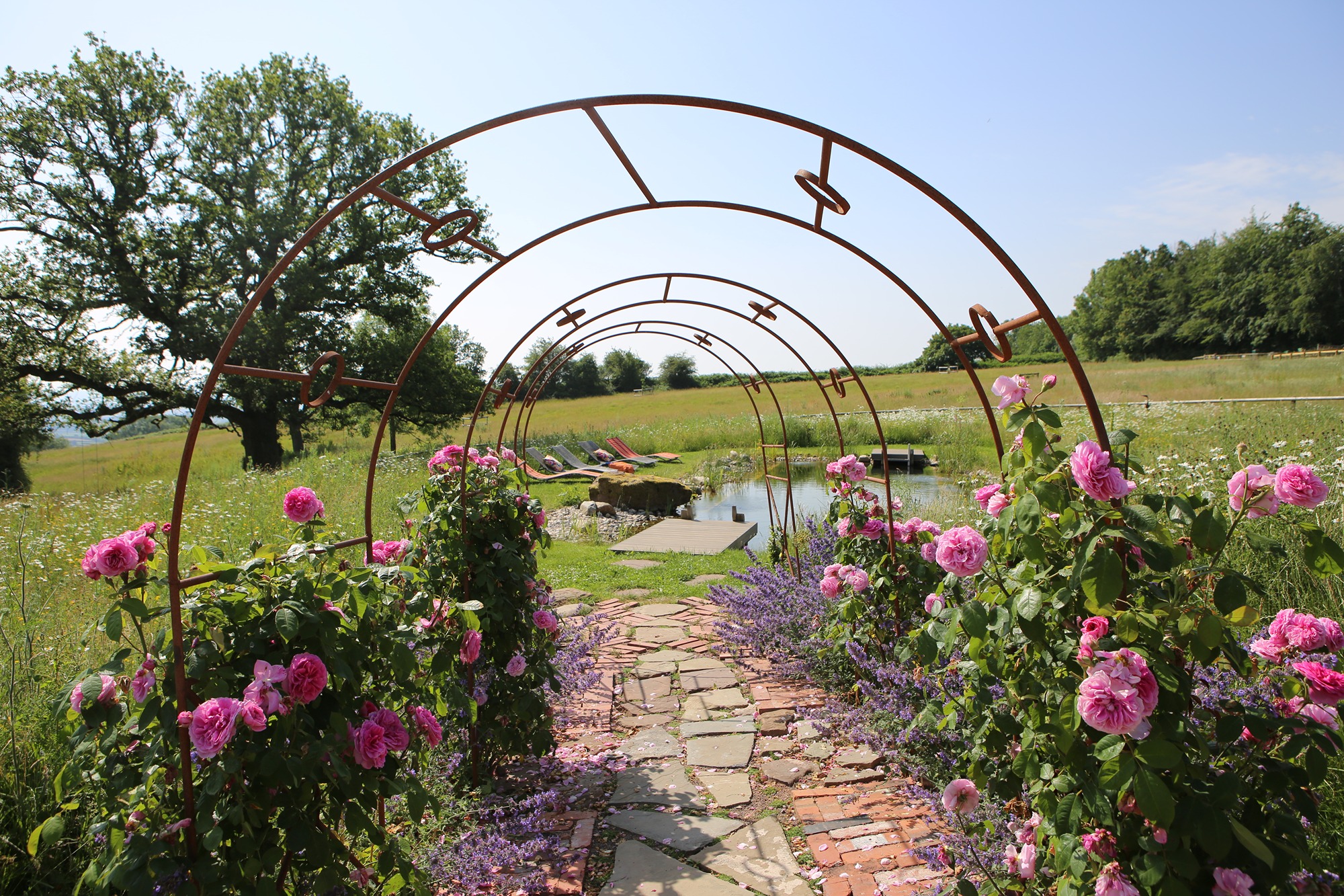 swimming-pool-roses-arch