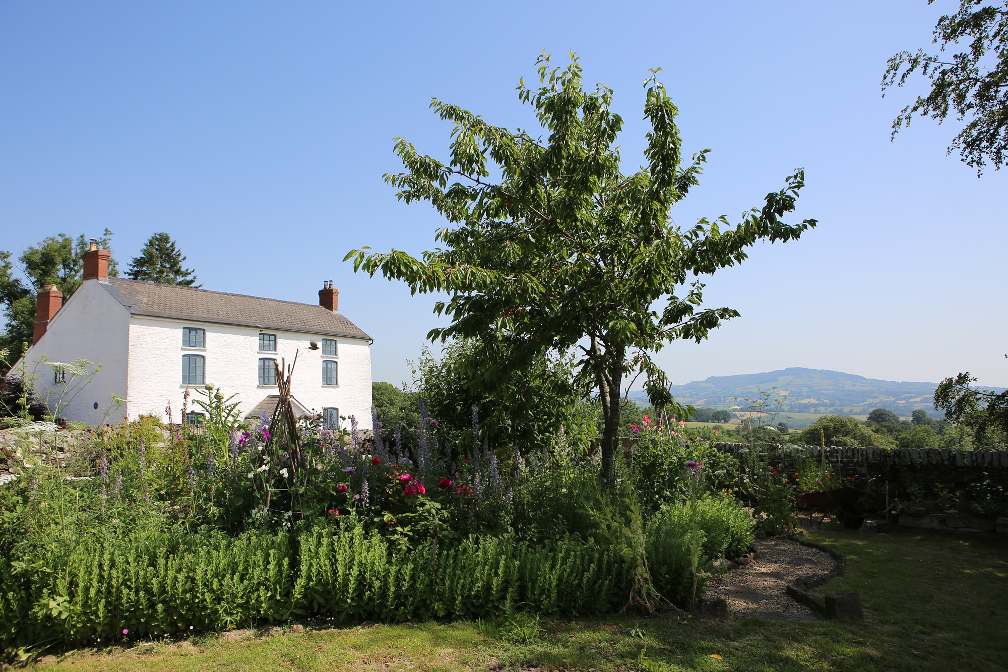 Veggie-garden-wellness-retreat
