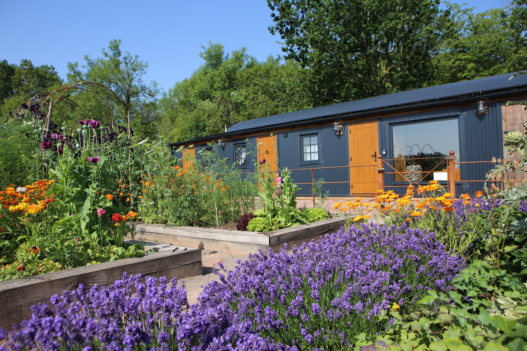 Sauna-gardens-wellness.JPG