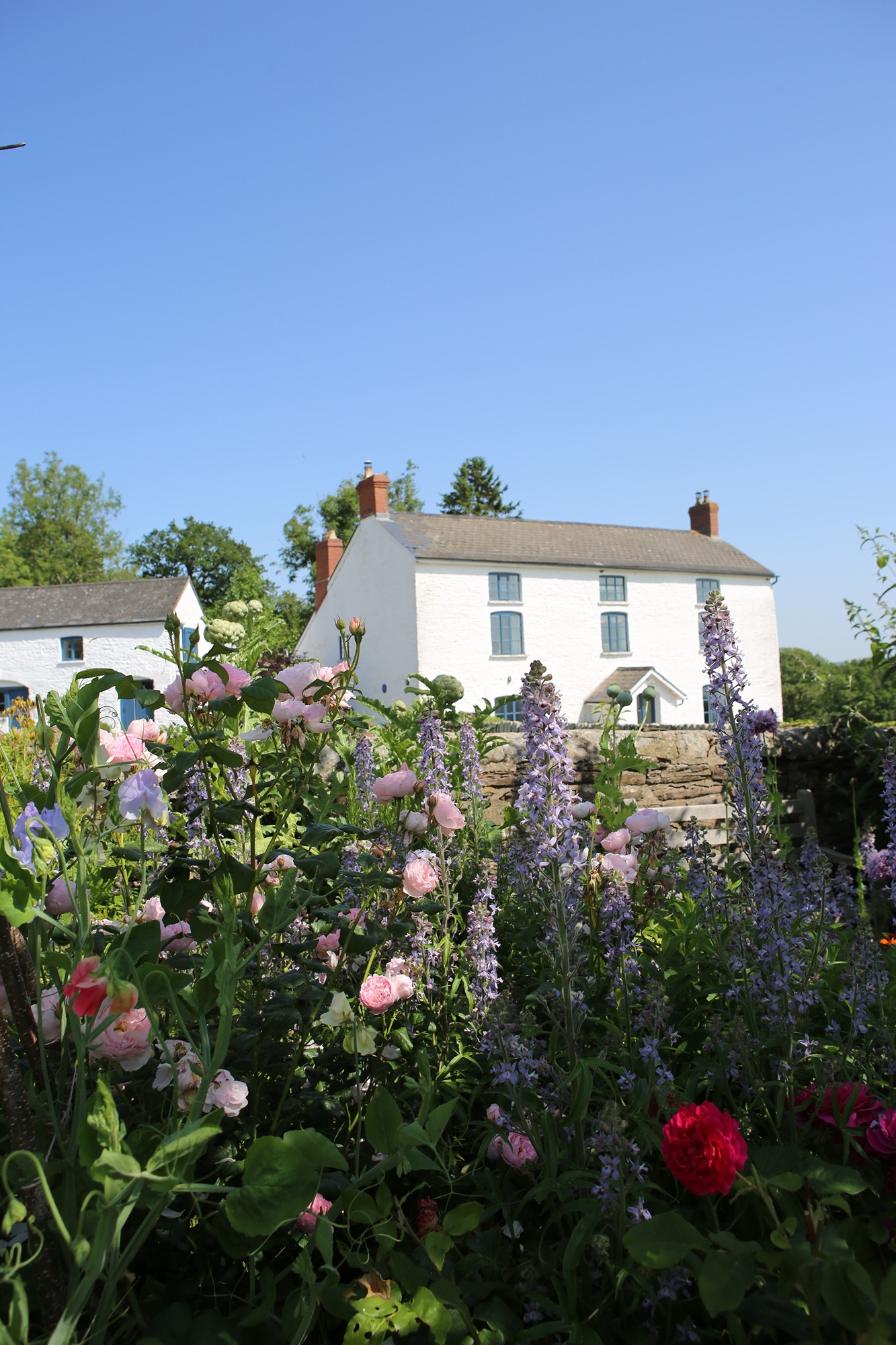 country-garden-welness-retreat.JPG