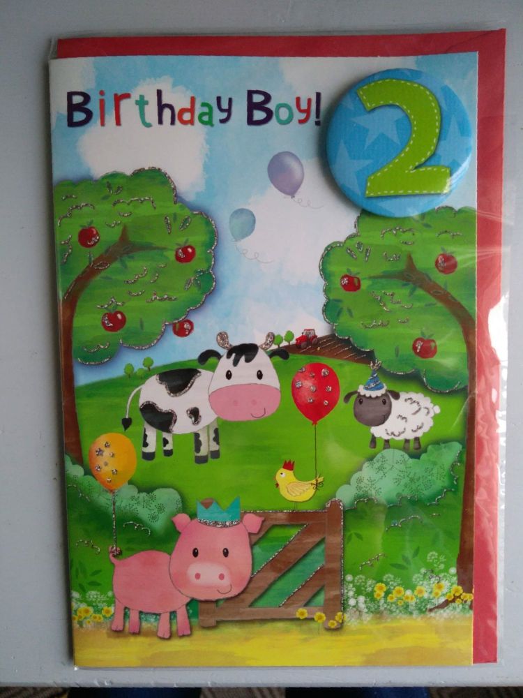 2nd Birthday Boy Card