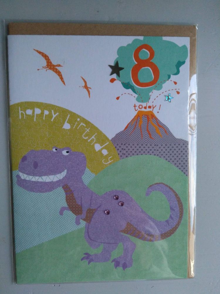 8th Birthday Boy Card