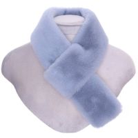 Luxury Fur Pull Through Collar Baby Blue