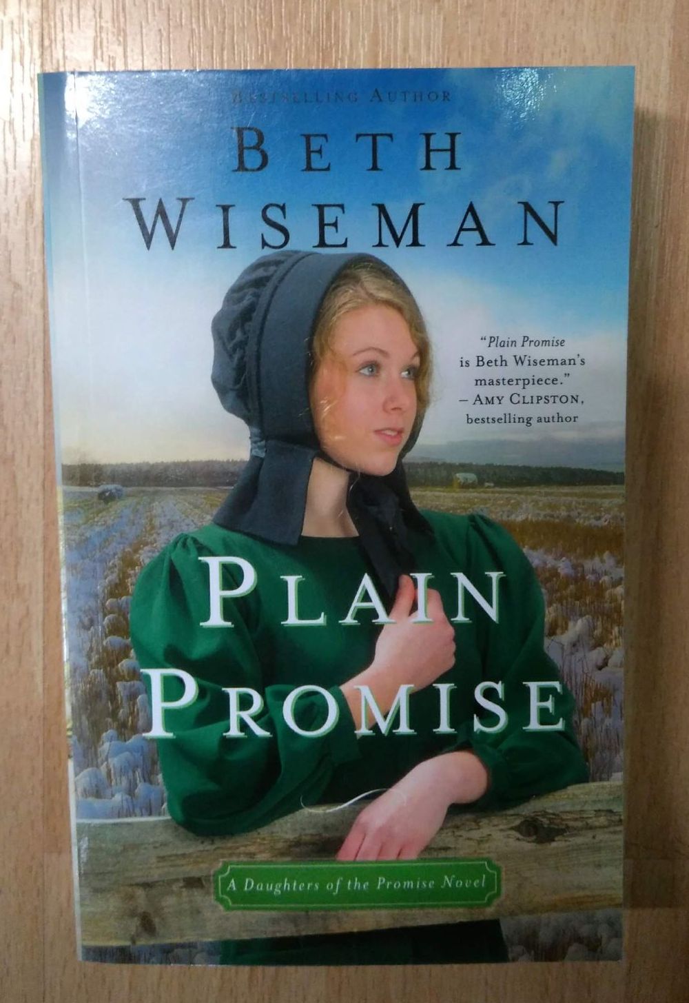 Plain Promises Book