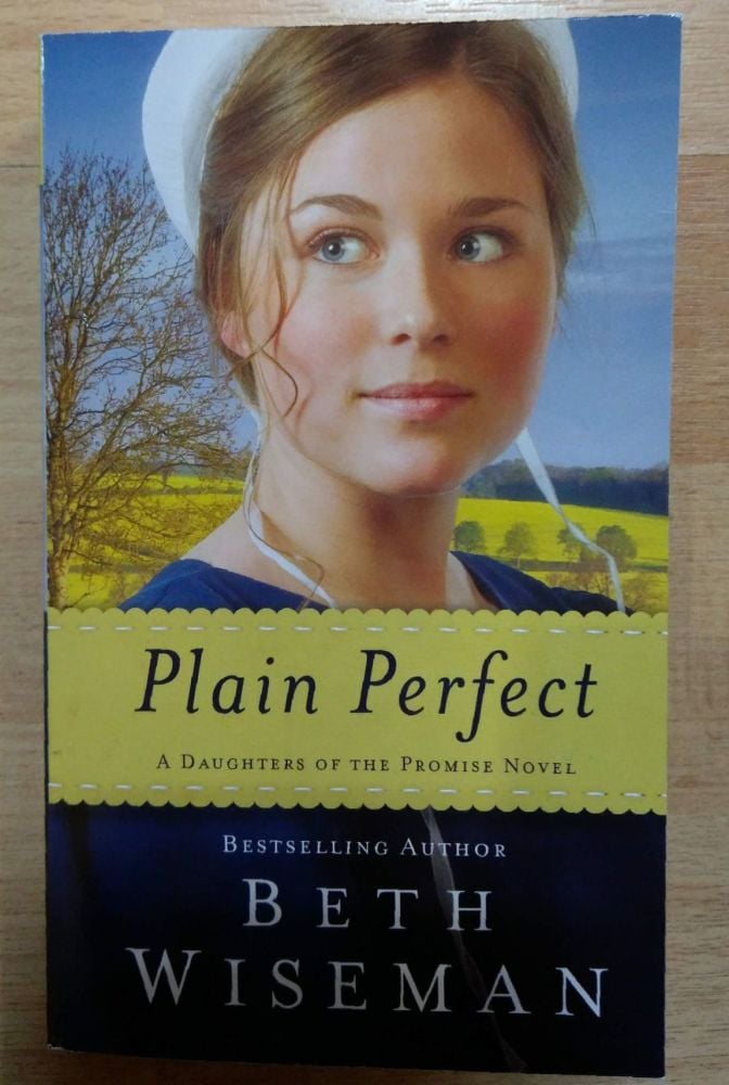 Plain Perfect Book- Beth Wiseman