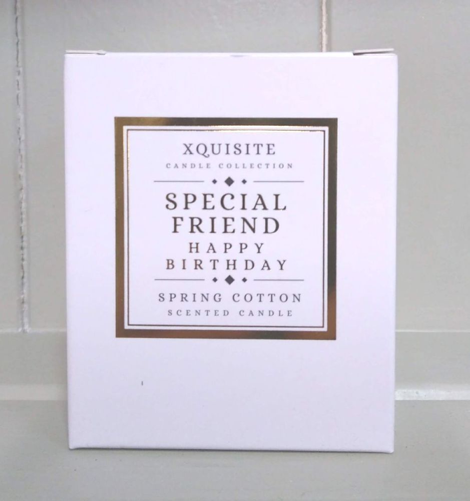 Special Friend Birthday Candle