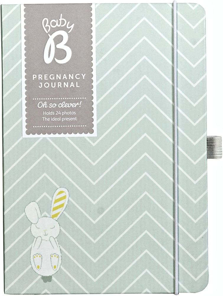 Busy B Pregnancy Journal