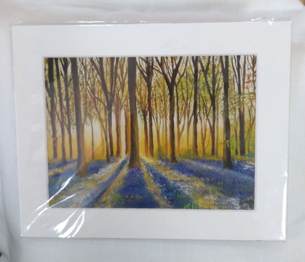 Trees in forest Print- Sheryl Newell