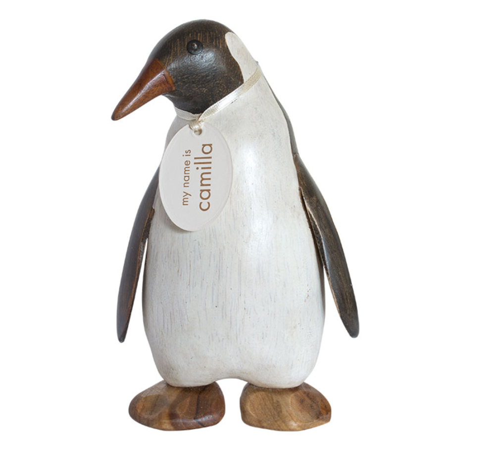 Small Emperor Penguin