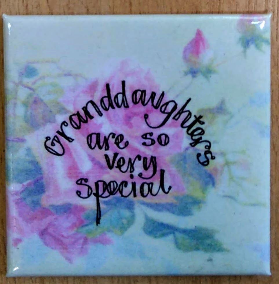 Granddaughters are so very special- Fridge Magnet