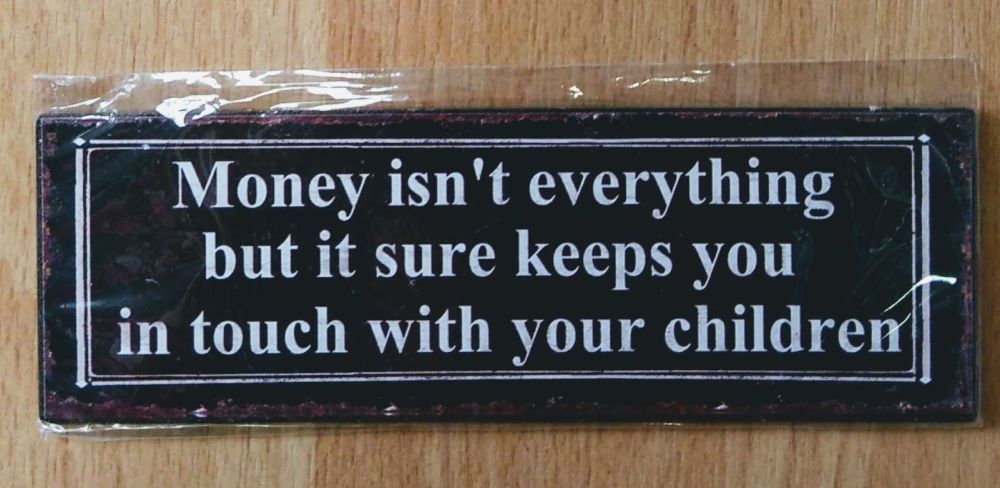 Money isn't everything, but it keeps you in touch with your children- Magne