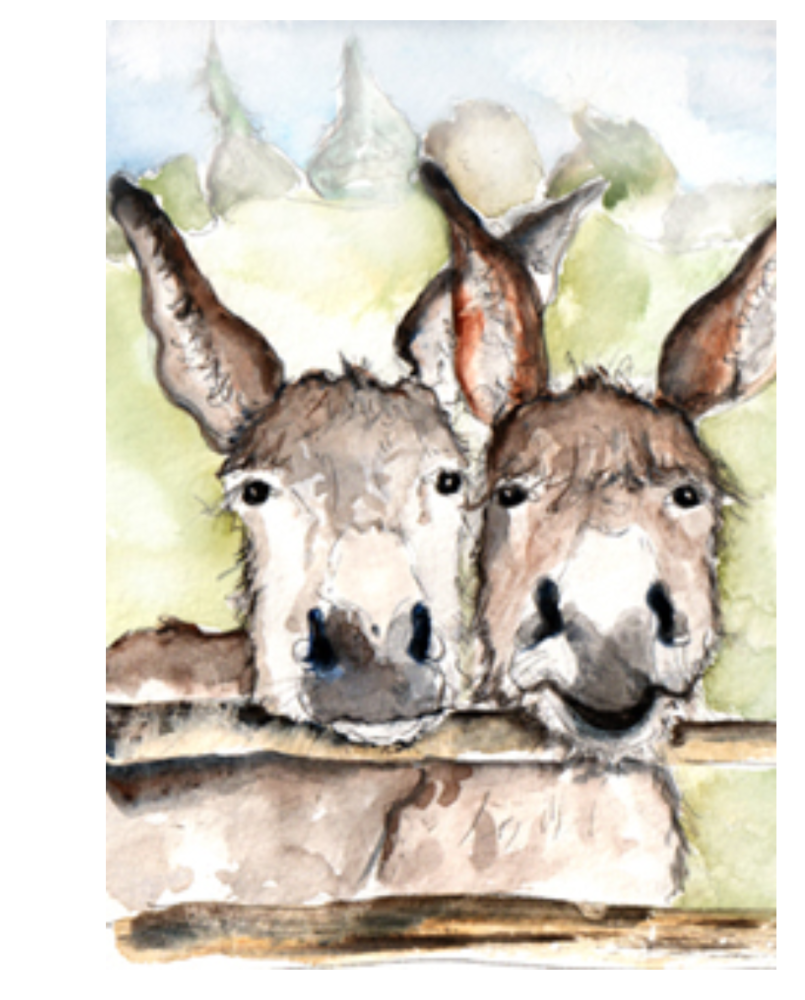 Blank Card- Donkeys (Cath Ward)
