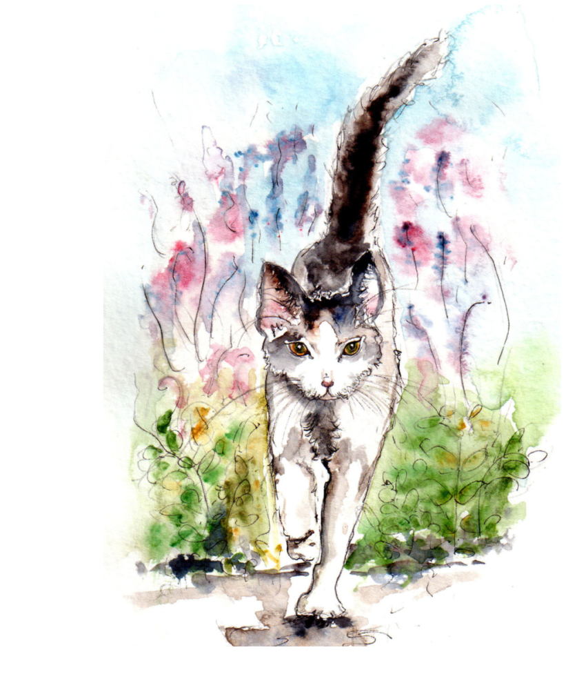 Blank Card- Cat in Lavender (Cath Ward)