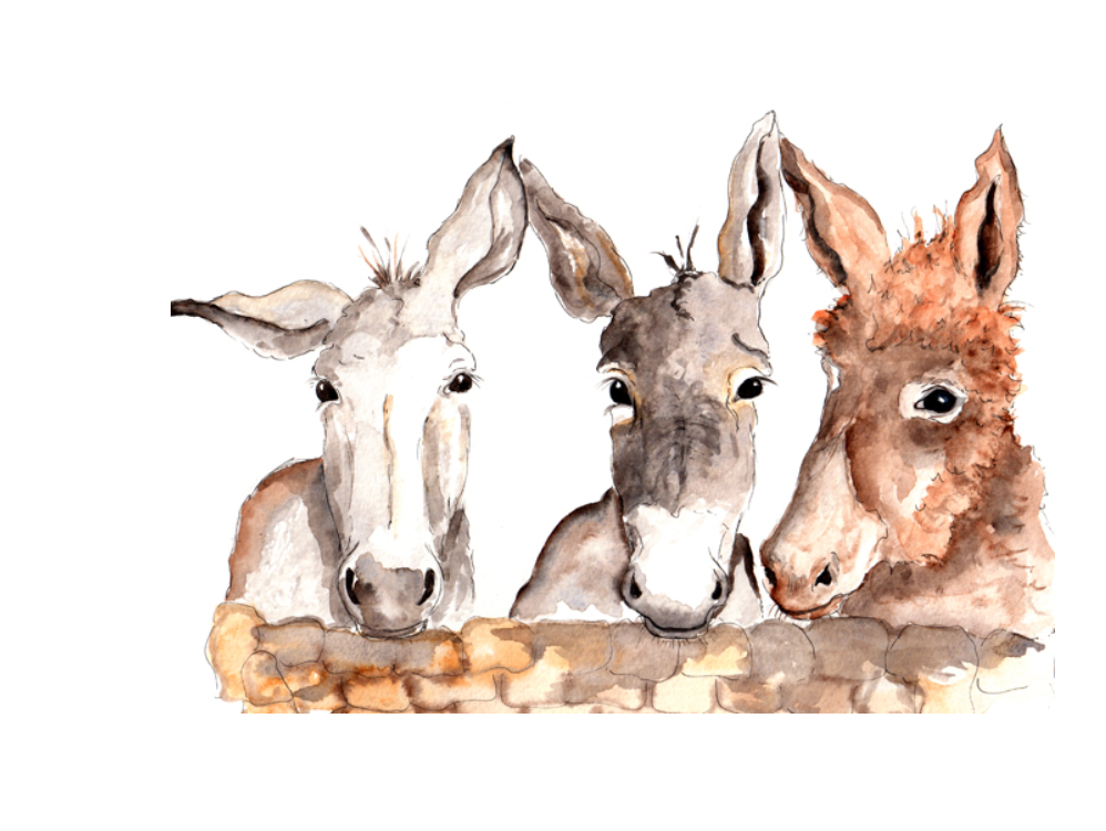 Blank Card- 3 Wise Donkeys (Cath Ward)