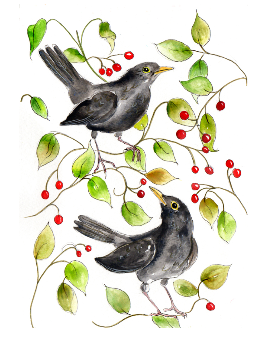Blackbirds and Berries Print- Cath Ward