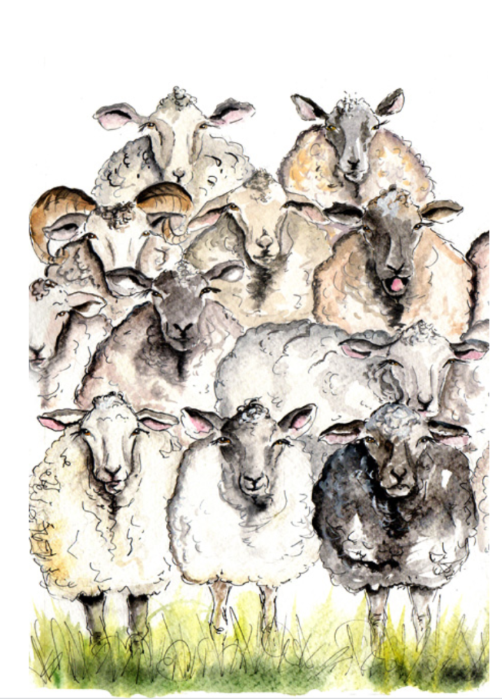 Pile up of Sheep Print- Cath Ward