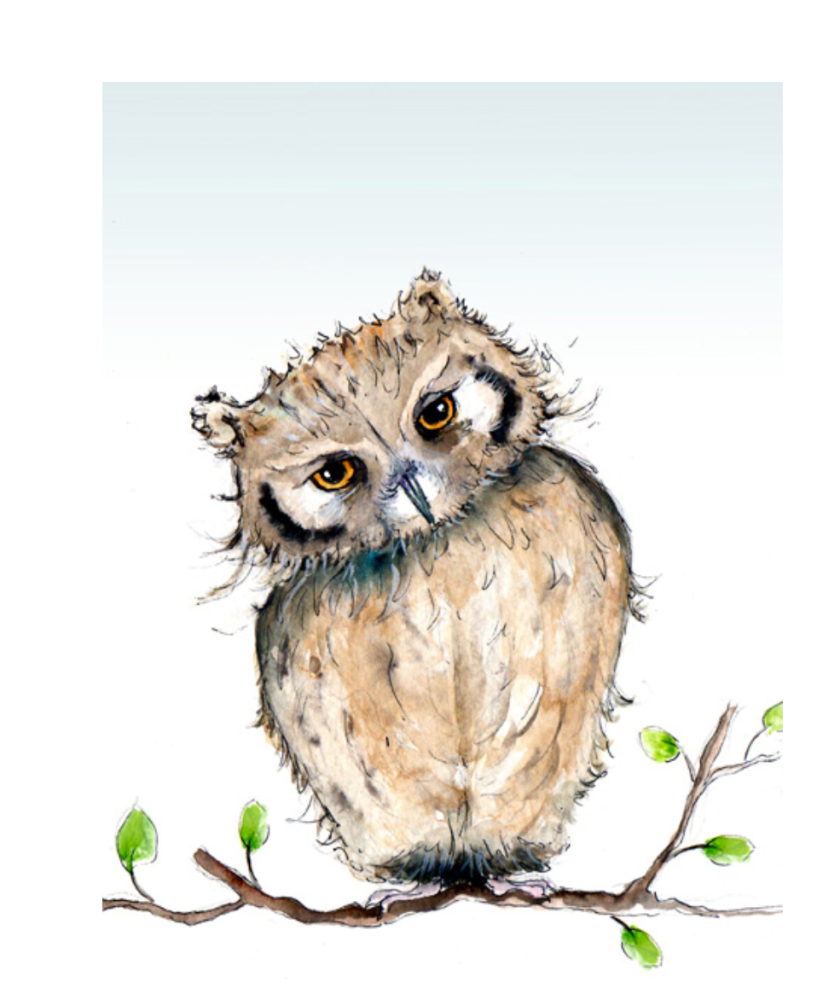 Owl Print- Cath Ward