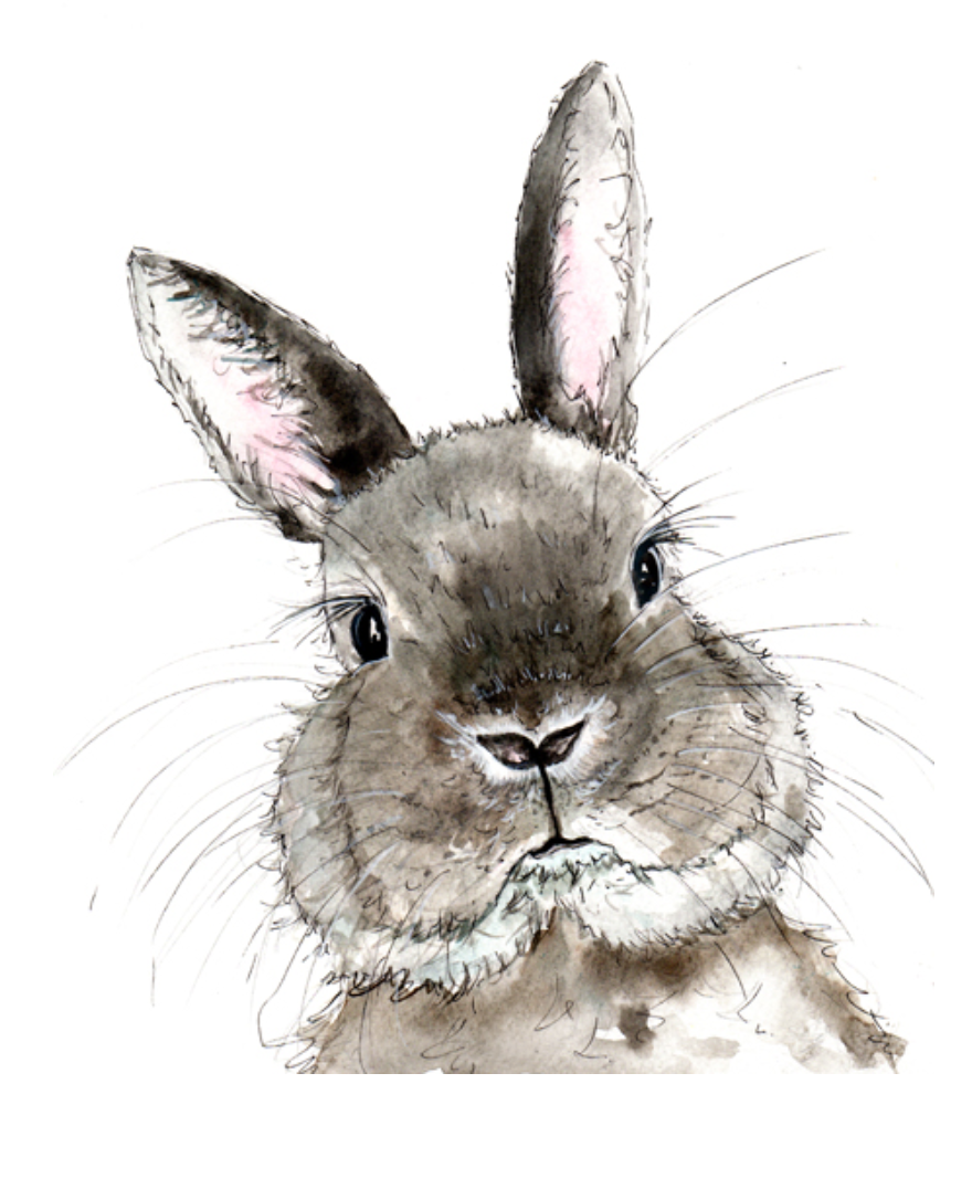 Rabbit Print- Cath Ward