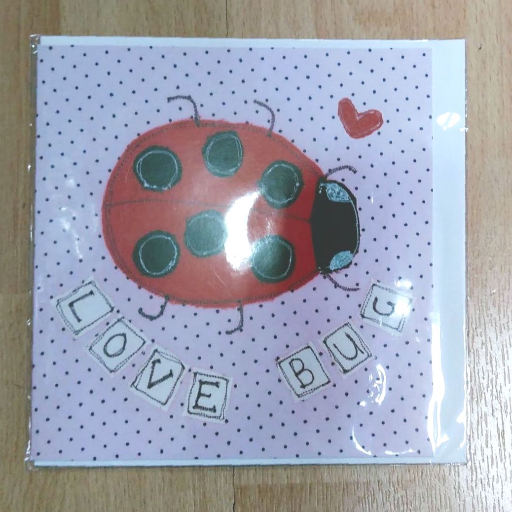 Blank Card- Ladybird