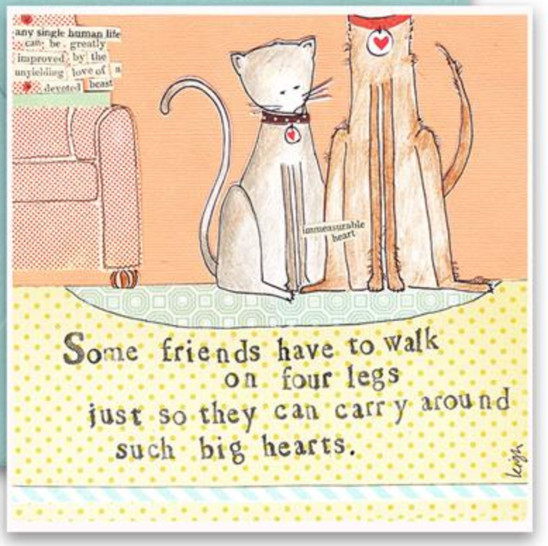 Four Legs (Cats) Card