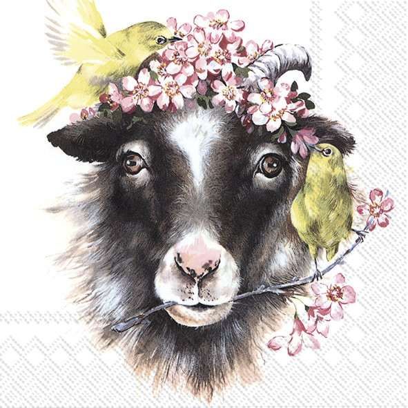 Memory of Spring (Goat) Napkins