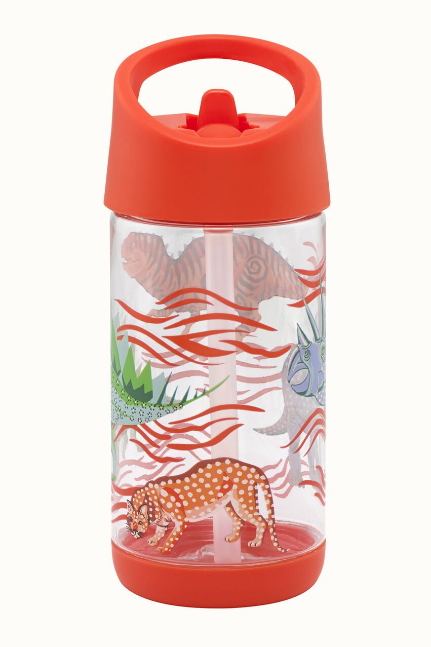 Dinosaur Kids Drinking Bottle