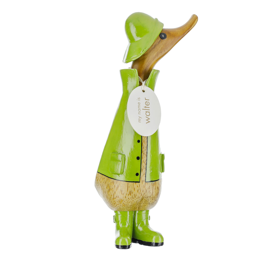 Raincoat Duckling- Green