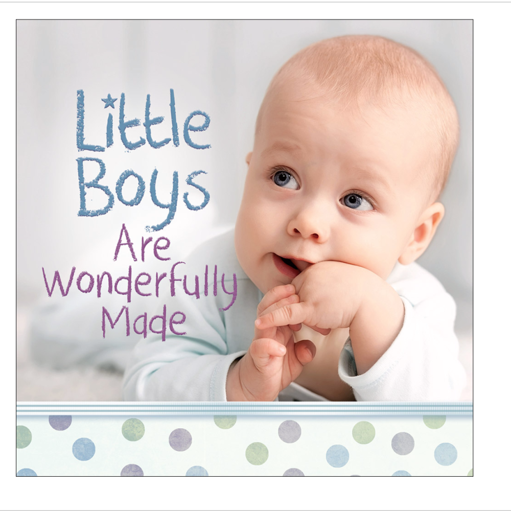 Little Boys Are Wonderfully Made Book