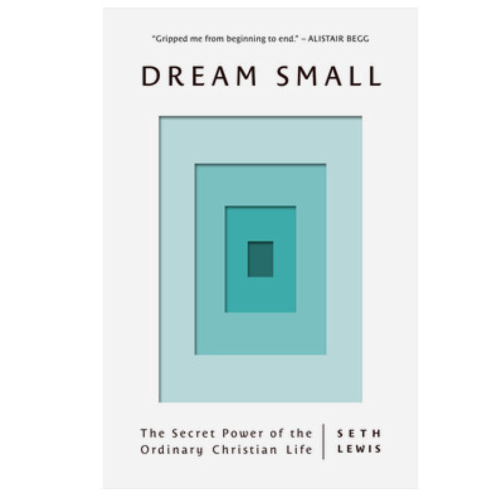 Dream Small Book- Seth Lewis