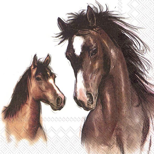 Amy and Lucy Horse Napkins
