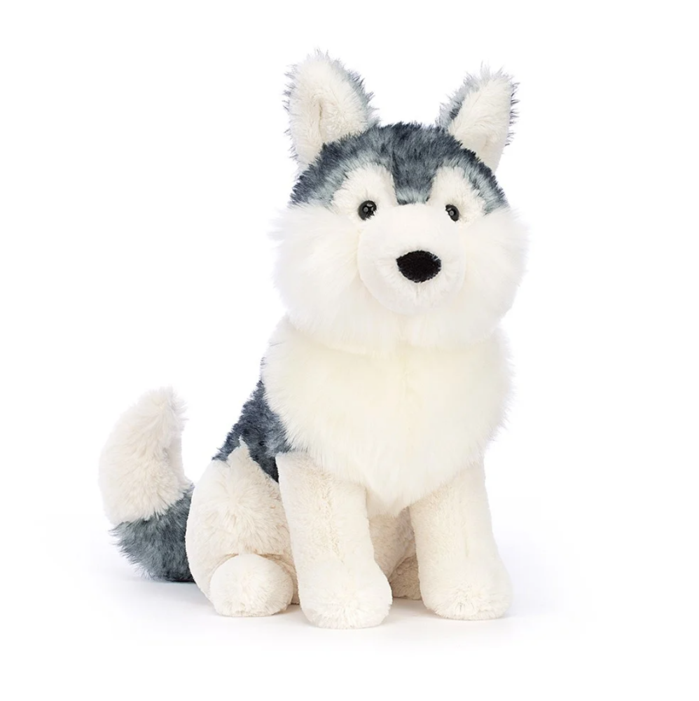 Jackson Husky Dog