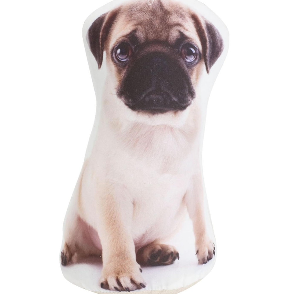 Adopt a Doorstop Puppies Archie the Pug Puppy