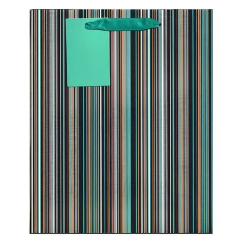 Blue/ Green/ Orange Stripe Gift Bag (Medium)