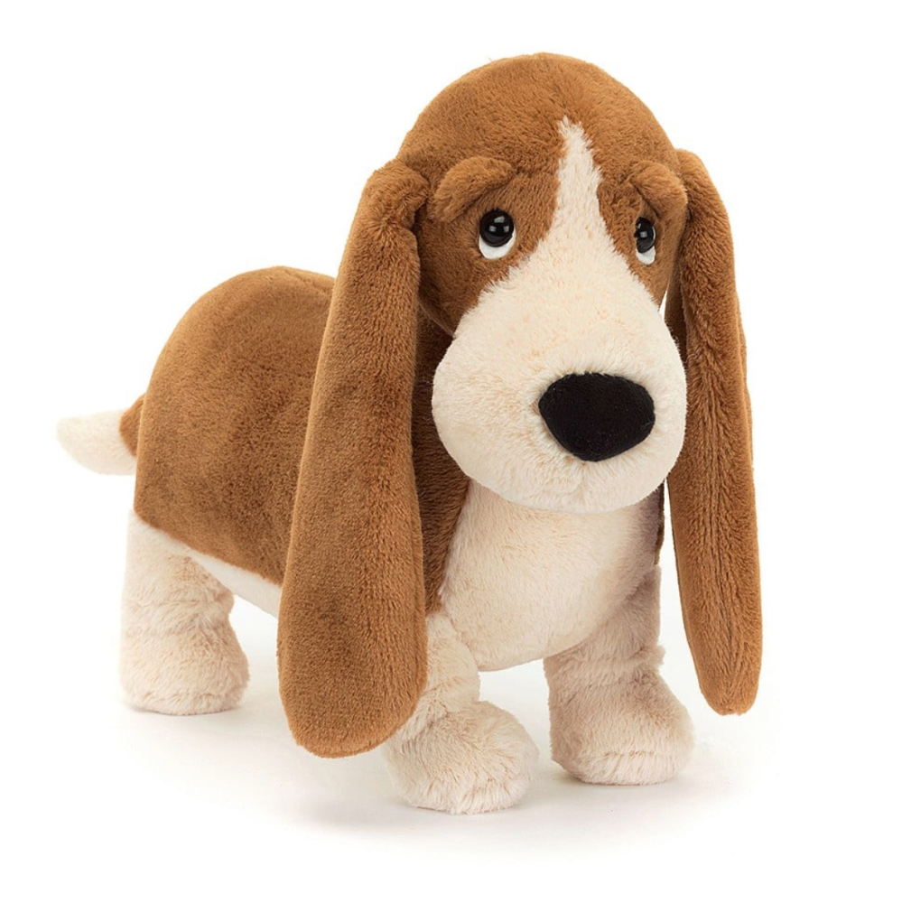 Randall Basset Hound