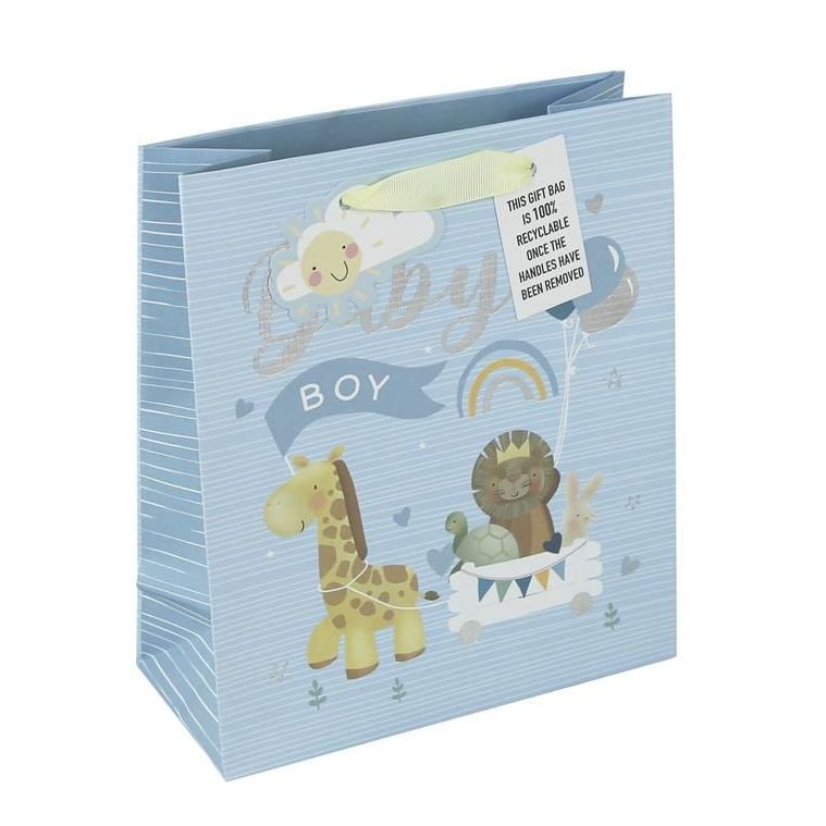 Baby Boy Gift Bag (Medium)
