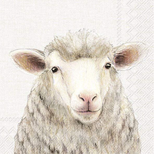 Sheep Napkins