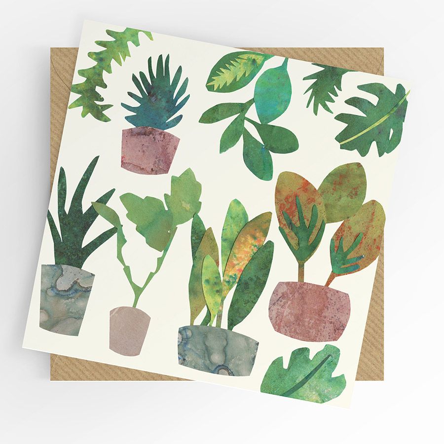 Blank Card- Potted Plants