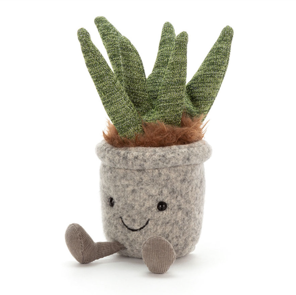Silly Succulent Aloe