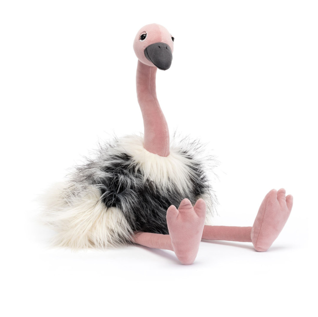 Ramonda Ostrich