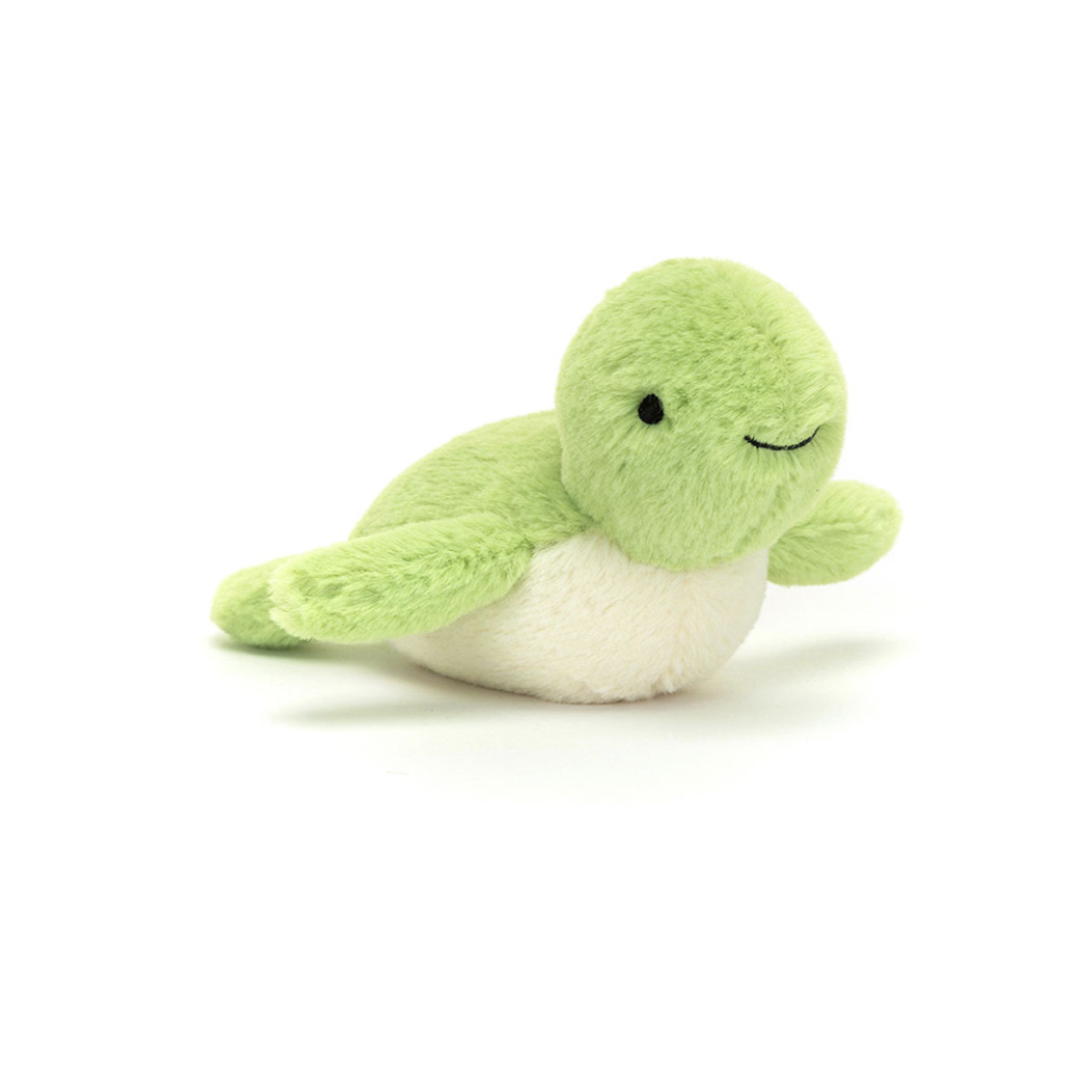 Fluffy Turtle