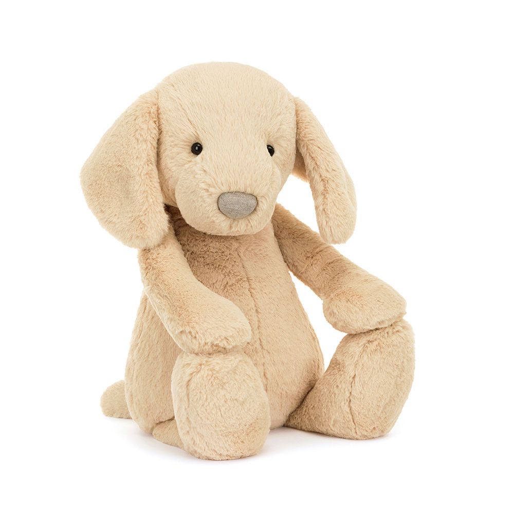Bashful Luxe Puppy Orlando- Huge